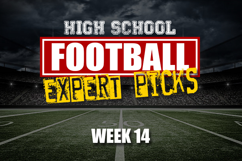 expert picks week 14